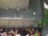 image of grave number 856482